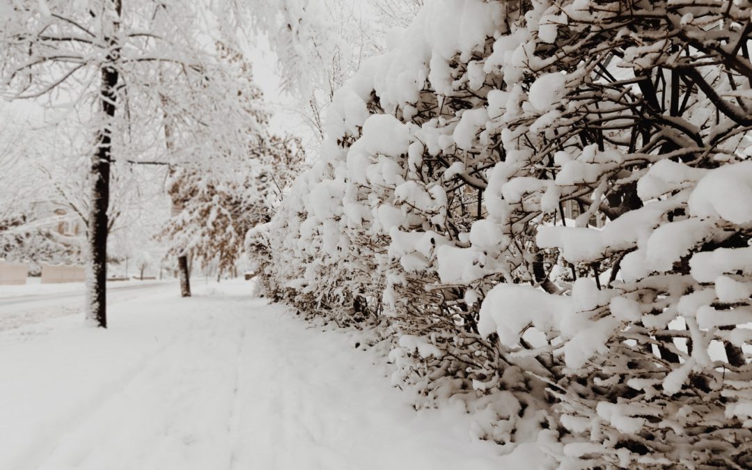 Your Snow Removal Guide for the Winter